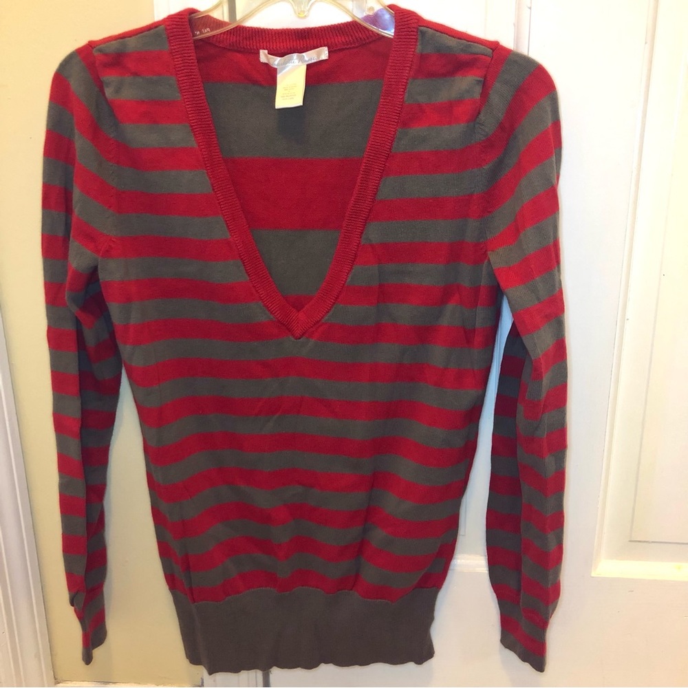 Charlotte Russe V/neck Long sleeve Sweater
